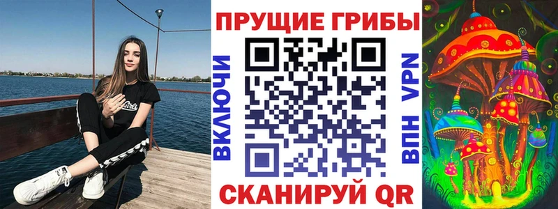 Псилоцибиновые грибы Magic Shrooms  Купить закладки  Кирсанов 